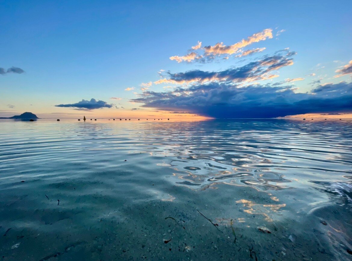 帝国索菲特度假酒店和水疗中心-泳池