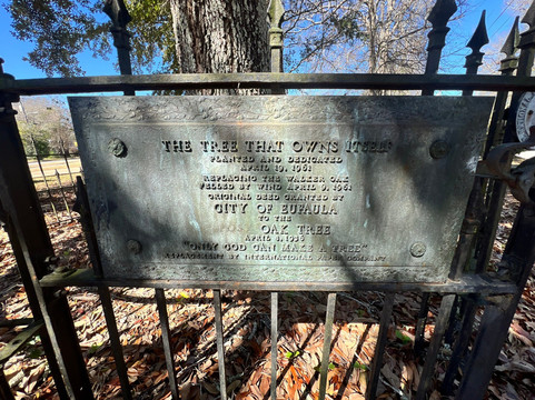 The Tree That Owns Itself