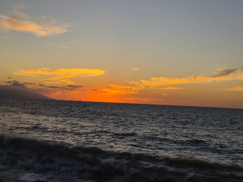 Oyster Grill De La Docena