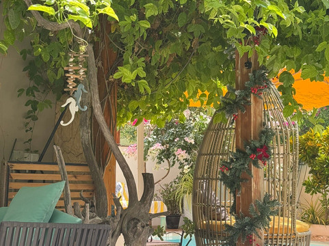 棕榈树休憩酒店主图