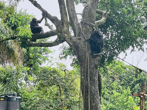 Entebbe Zoo-恩德培必去景点