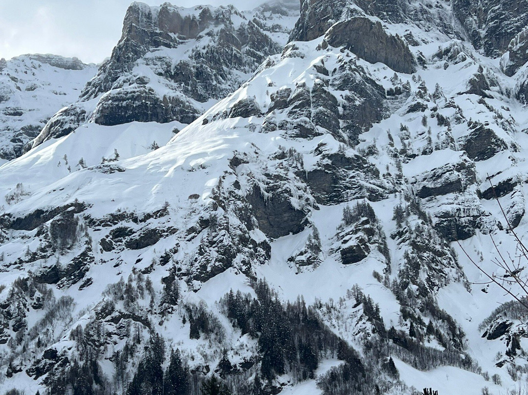 酒店昆仑霍夫洛克尔巴特主图