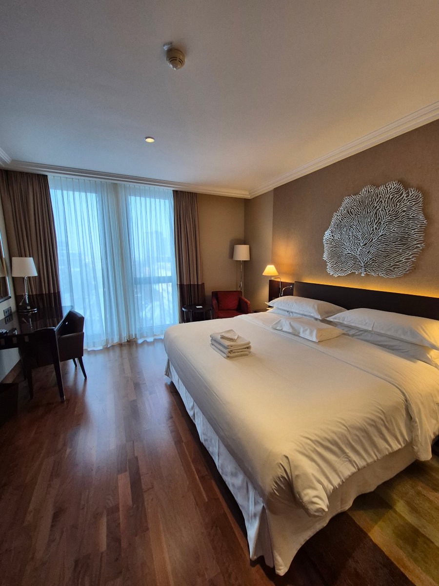 布拉迪斯拉发喜来登酒店-客卧