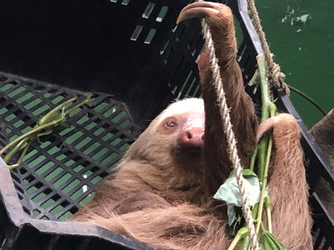 Proyecto Asis-福德圣卡洛斯必去景点