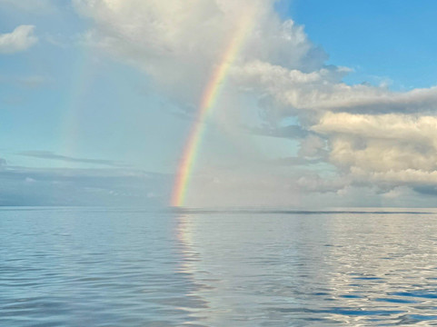 Maui Diamond Sea Sports-玛阿拉也亚必去景点