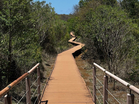 Fernando de Noronha Marine National Park-费尔南多-迪诺罗尼亚群岛必去景点