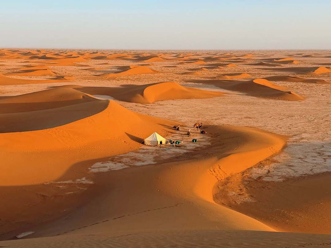 Sahara mystery-迈哈米德必去景点