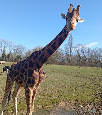 Parc Zoologique de Paris-Hermival-les-Vaux必去景点