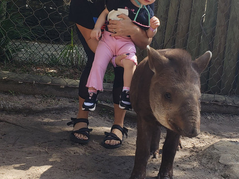 Zoo World Zoological Park-巴拿马城海滩必去景点