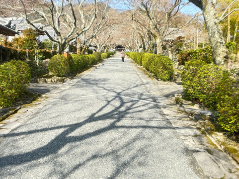Saikyoji Temple-大津市必去景点