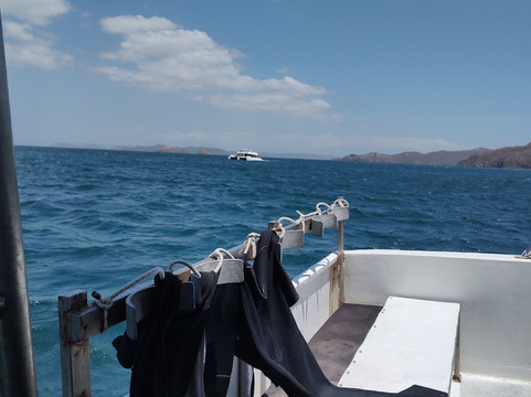 Rocket Frog Divers-Playas del Coco必去景点