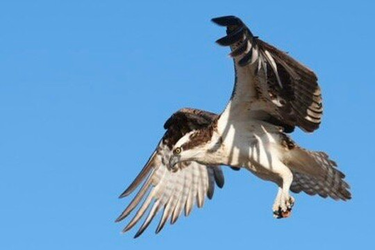Baja Ecotours-San Ignacio必去景点