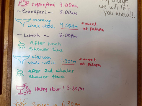 Baja Ecotours-San Ignacio必去景点