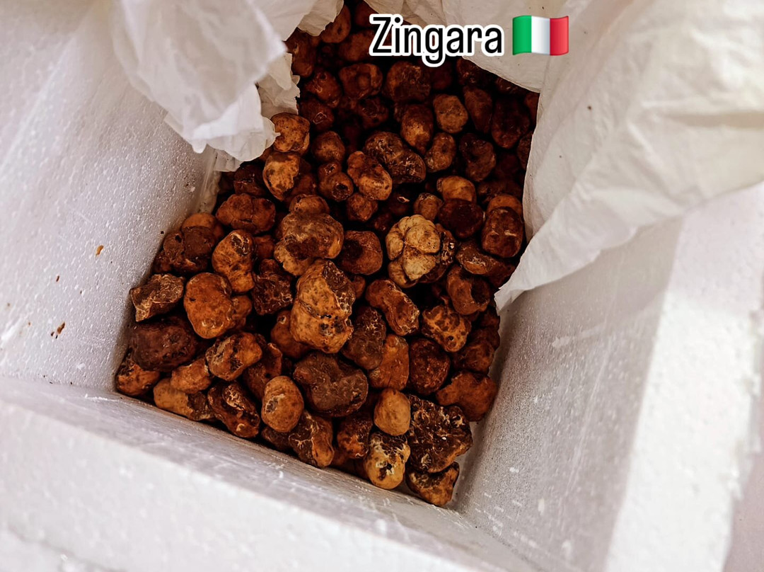 Ristorante Pizzeria Zingara
