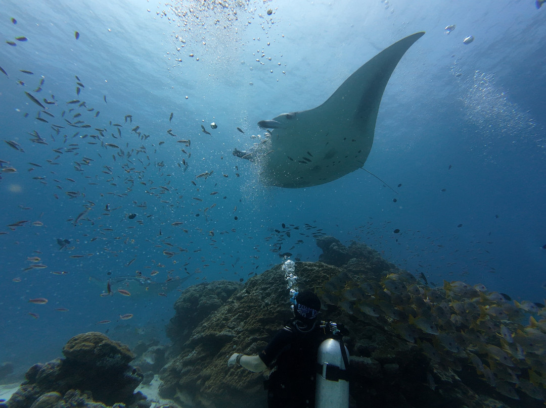 Family Divers Maldives-拉斯胡必去景点