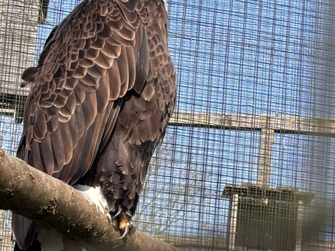 Landgoed Hoenderdaell-Anna Paulowna必去景点