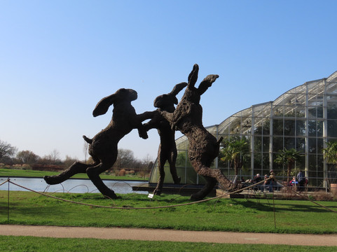 RHS Garden Wisley-Wisley必去景点