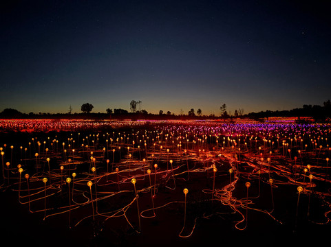 Field of Light-乌鲁鲁-卡塔丘塔国家公园必去景点
