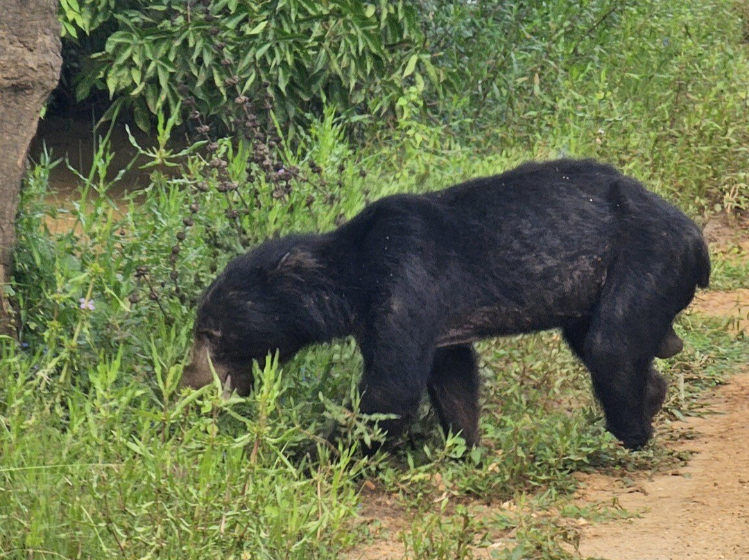 Dizha Lanka Travel  - Sri Lanka Tour-Ganemulla必去景点