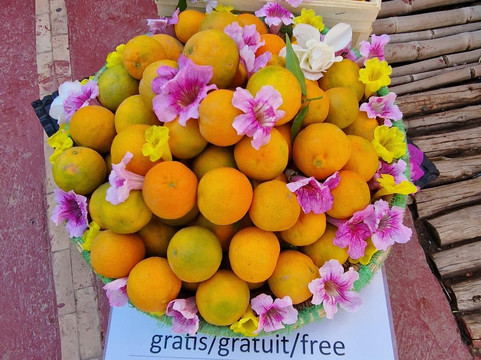 Le Paradis du Safran-Ourika必去景点