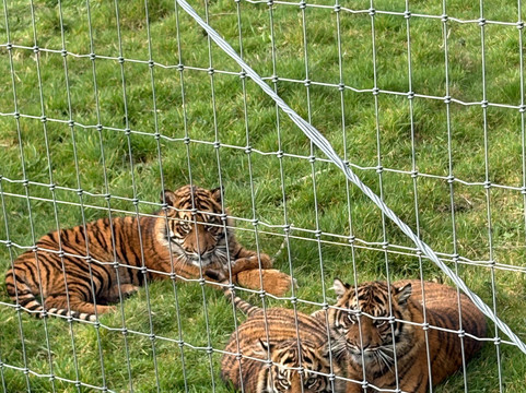 Manor Wildlife Park-St. Florence必去景点