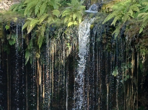 Cenote Saamal-巴利亚多利德必去景点