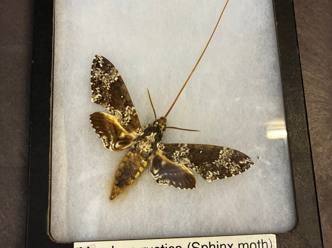 Butterfly Wonderland-斯科茨代尔必去景点