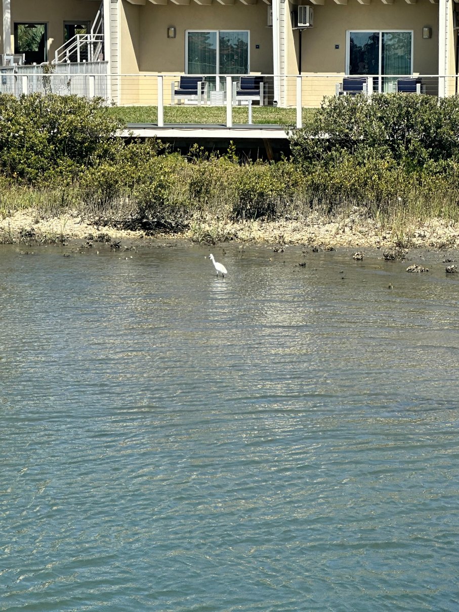 马克尔 8 号滨海酒店-官方