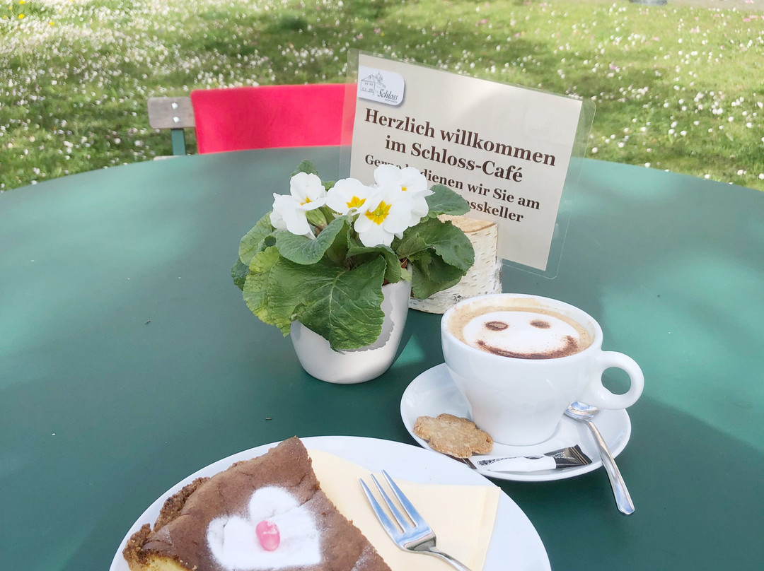 Schloss Grüningen
