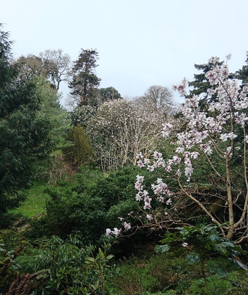 Glendurgan Garden-法尔茅斯必去景点