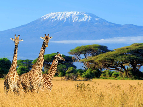 Tanzania Travelers-莫西必去景点