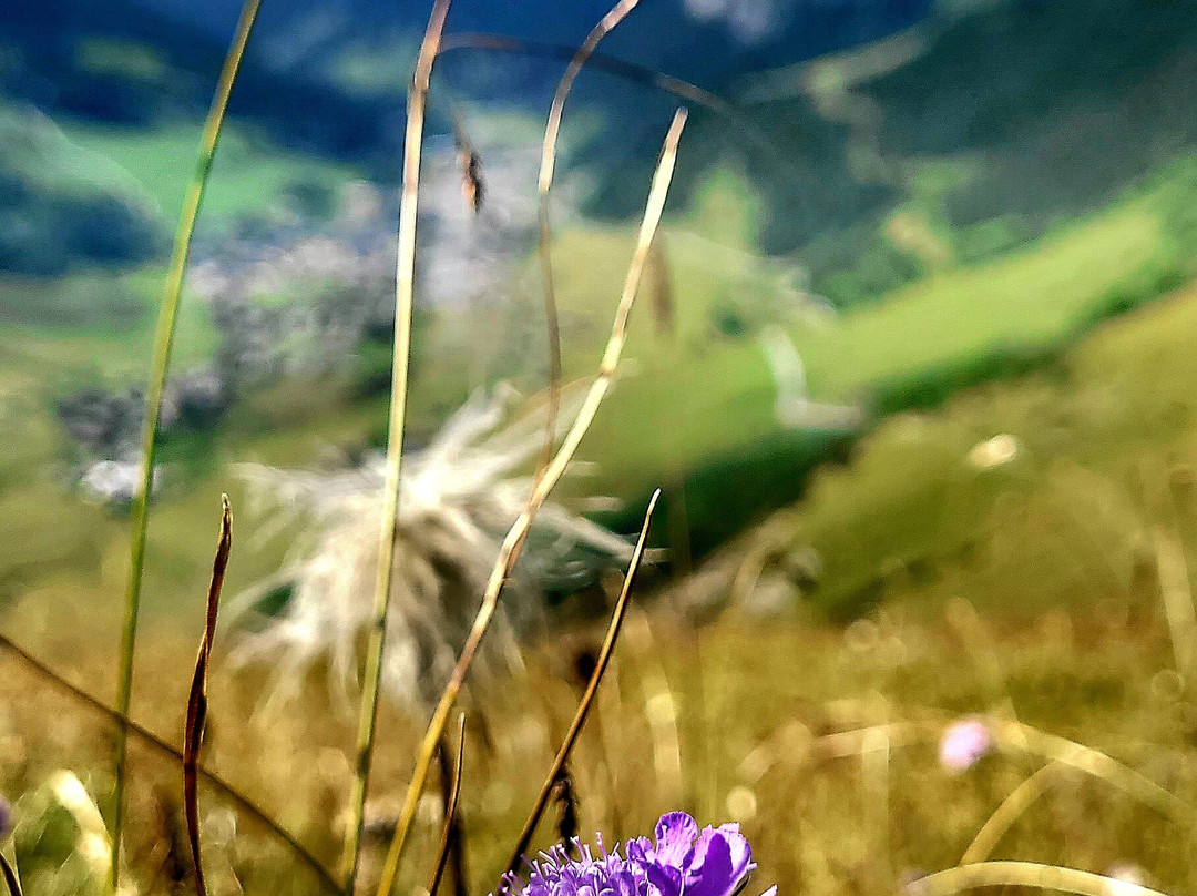 Furstin-Gina-Weg-马尔本必去景点