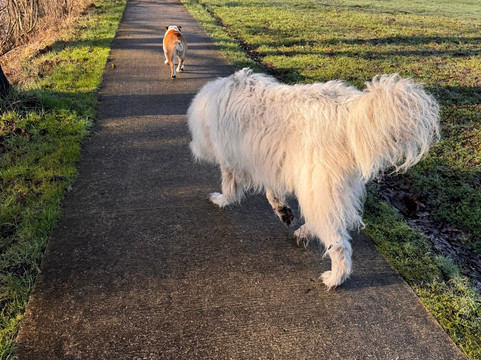 布克思路特住宿加早餐旅馆主图