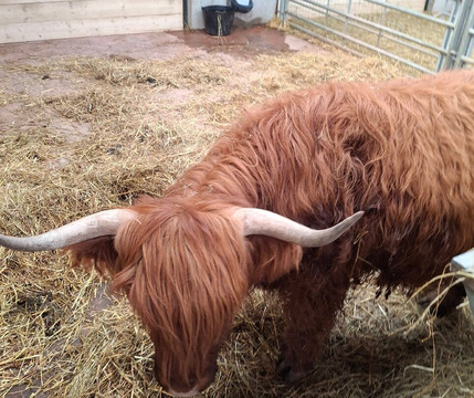 Monk Park Farm-Bagby必去景点
