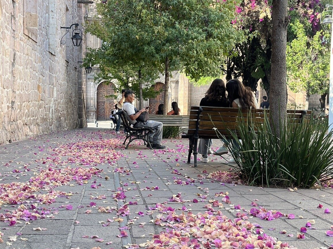 浪漫莫雷利亚酒店主图