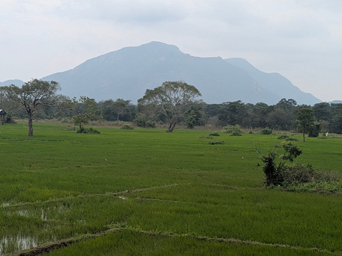 Ceylonicus Adventure-哈巴拉娜必去景点