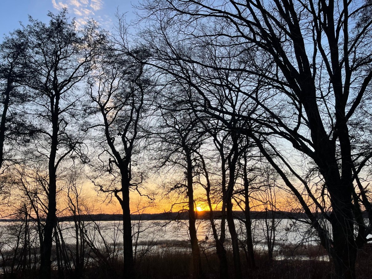 巴德萨罗施罗斯公园酒店-官方