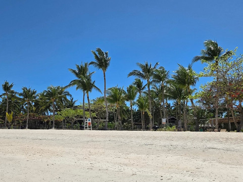 Skott's Comfy Lodge主图