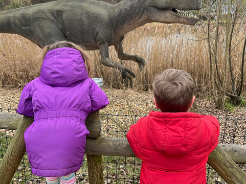 Yorkshire Wildlife Park-Auckley必去景点