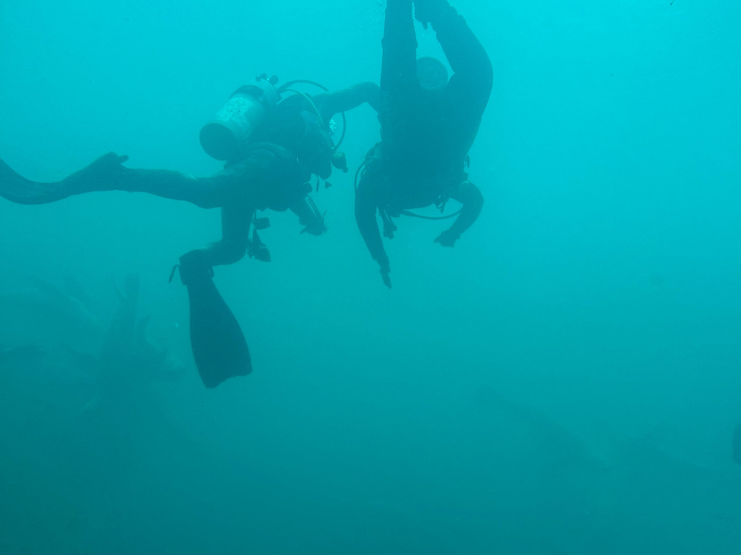 Buceo Quintay-Quintay必去景点