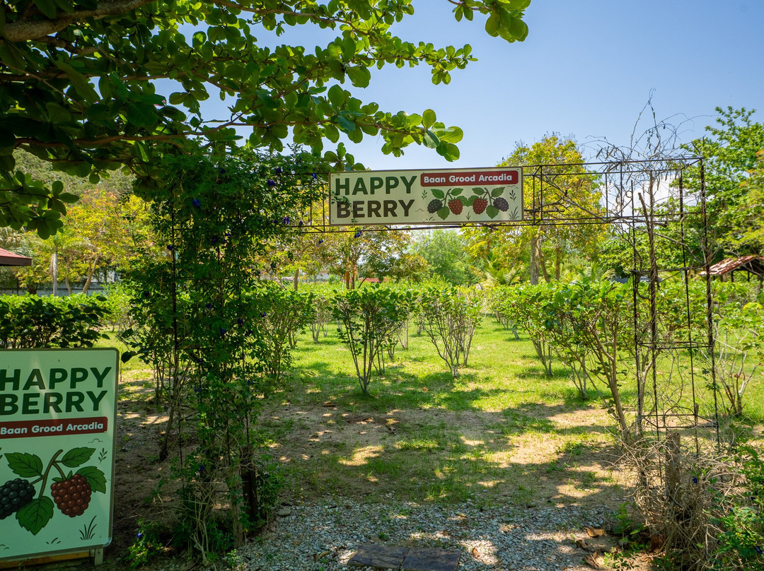 阿卡迪亚班格鲁德温泉度假村主图