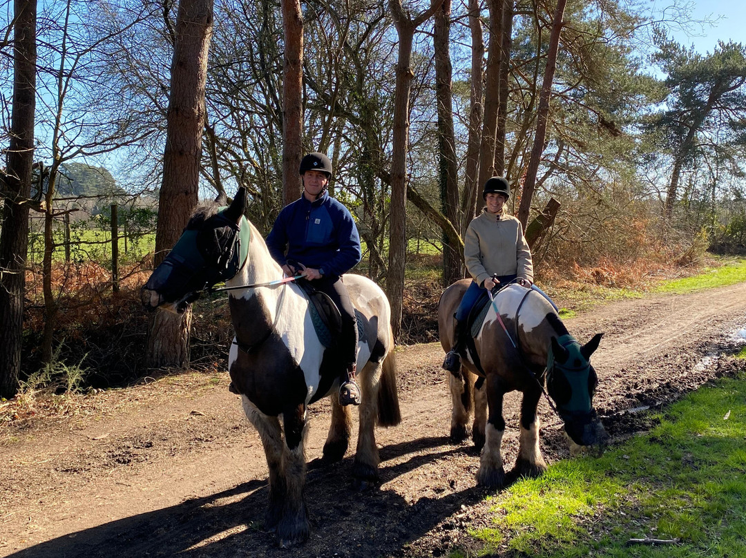 Eastmoors Forest Rides-St Leonards必去景点
