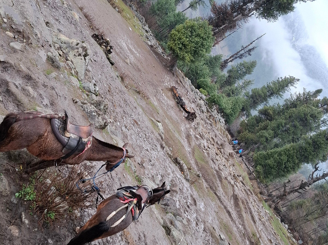 Sunway Kashmir Tour & Travels-斯利那加必去景点