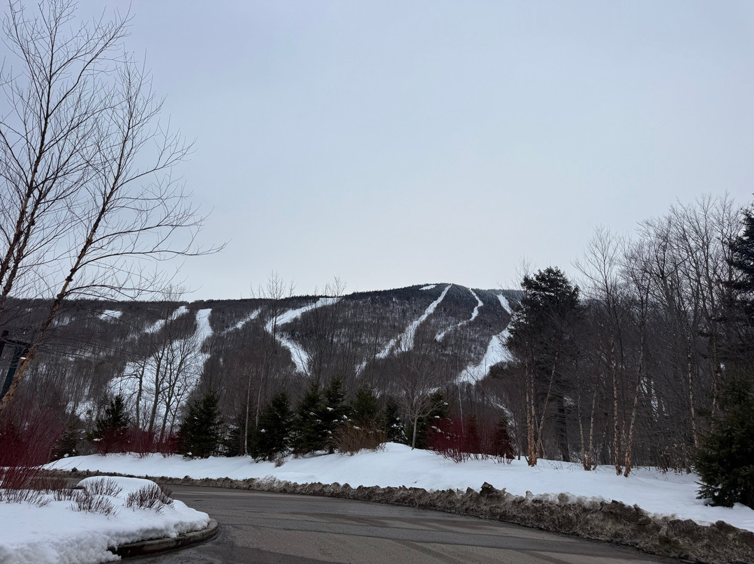 Stowe Mountain Resort-斯托必去景点