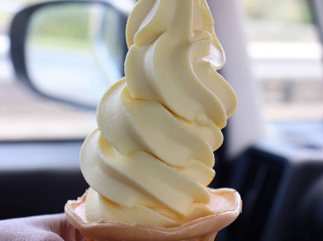 Amamigunto National Park-奄美市必去景点