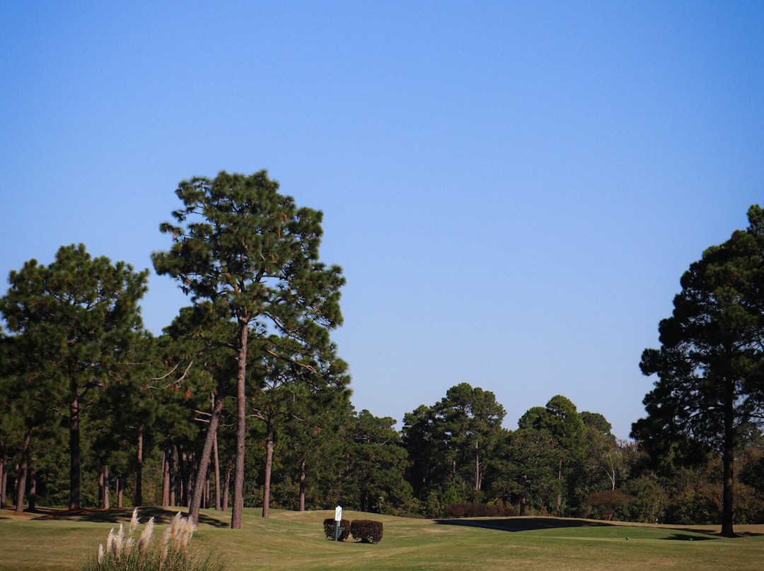 Vineyard Golf At White Lake-White Lake必去景点