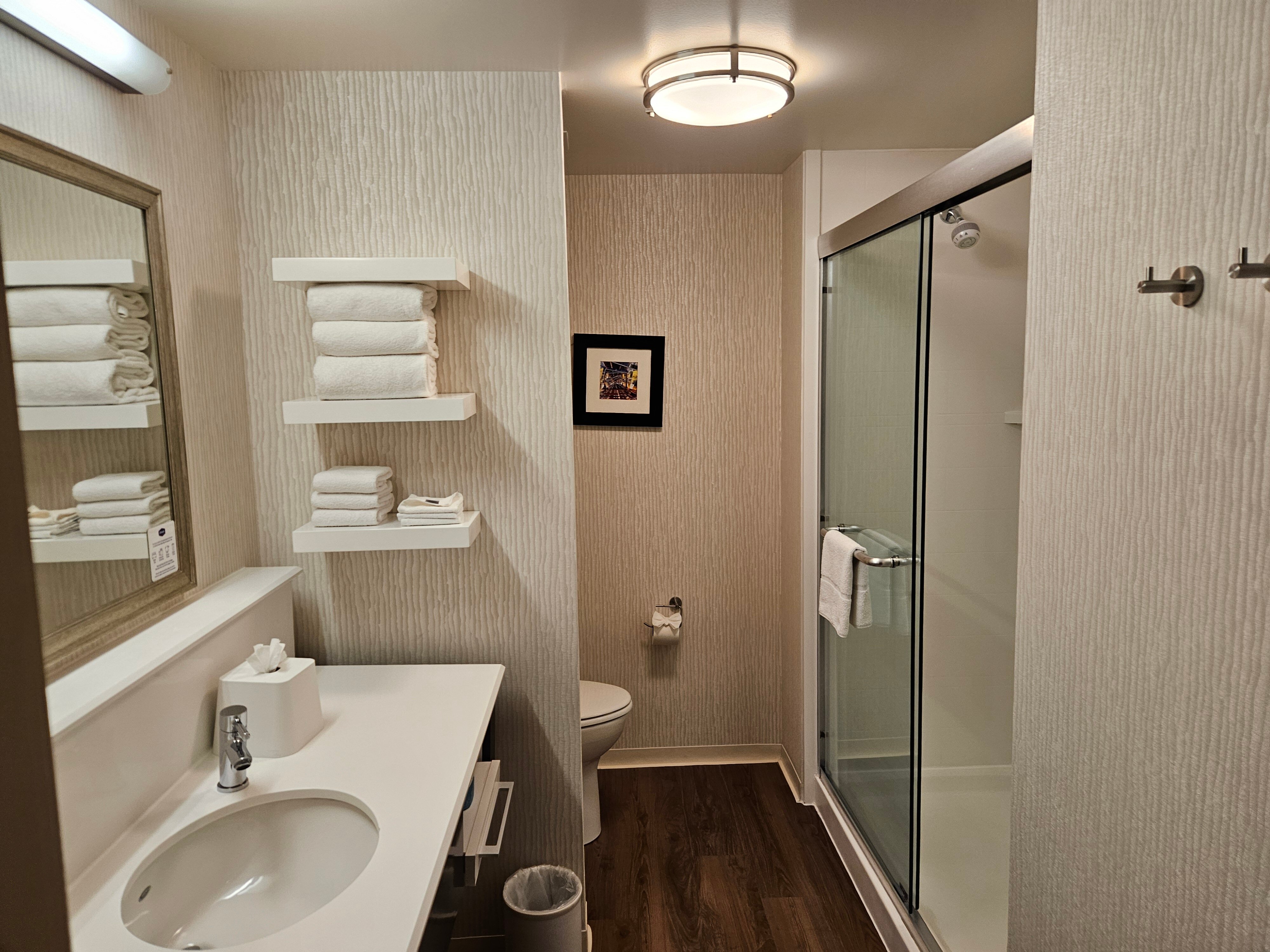 罗斯蒙特芝加哥奥黑尔欢朋套房酒店-浴室