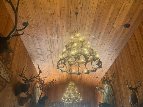 Dogwood Canyon Nature Park-Lampe必去景点