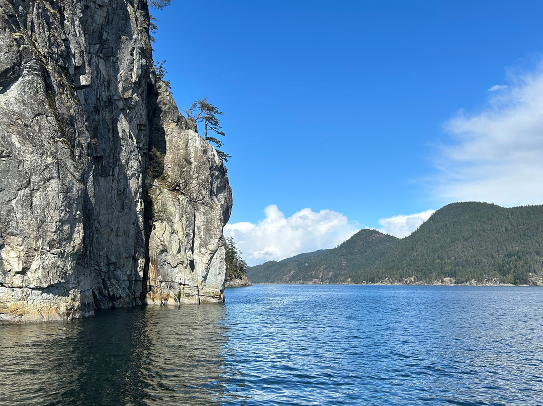 Lady Jean boat tours-马德拉公园镇必去景点