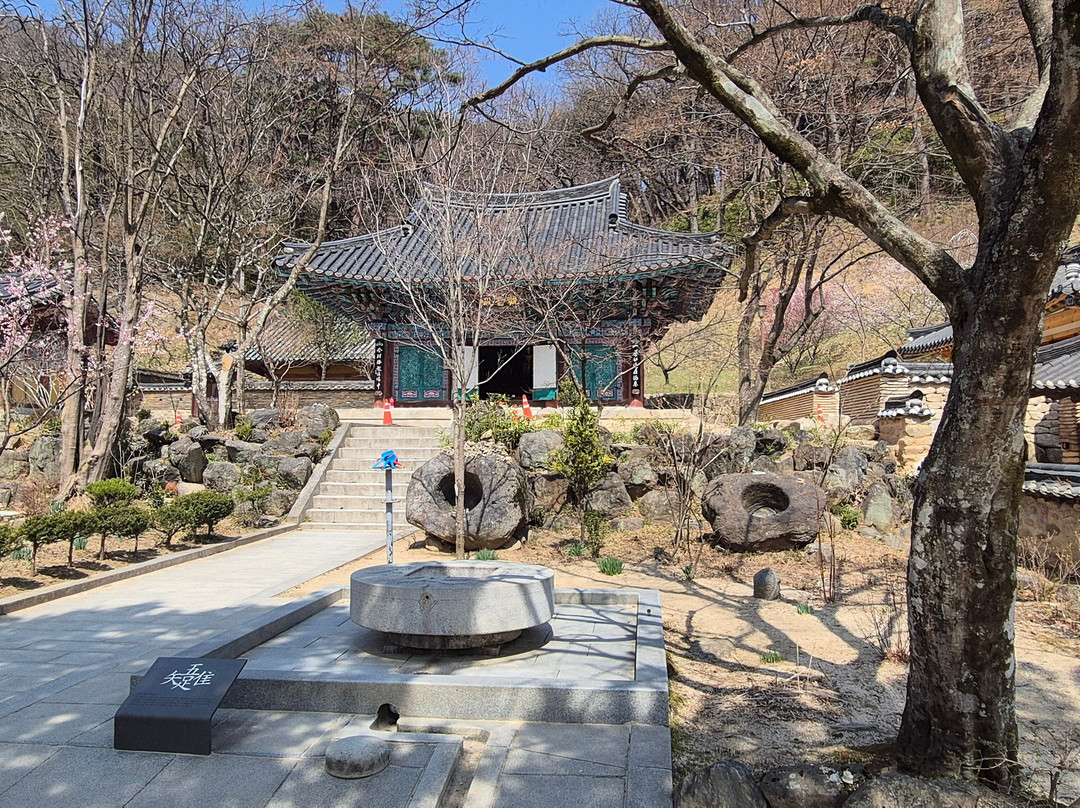 Jikjisa Temple-金泉市必去景点
